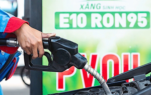 Sau 1 tuần triển khai xăng E10, Bộ Công thương ra chỉ đạo nóng