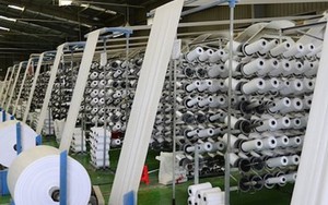 Một thứ thường bị vứt bỏ sau mỗi bữa ăn bất ngờ trở thành bài toán mới cho ngành xuất khẩu 11 tỷ USD của Việt Nam