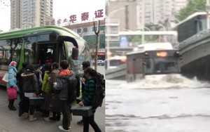Nếu Hàng không Sơn Đông thống trị bầu trời, thì xe buýt Vũ Hán chính là ‘quái vật tốc độ’ dưới mặt đất