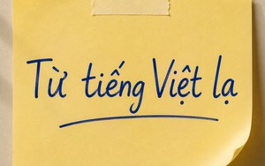 Một từ tiếng Việt chỉ 2 âm tiết nhưng khiến không ít người Việt phải tra Google mới hiểu nghĩa