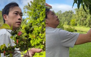 Nửa sau cuộc đời của NSƯT Hoài Linh