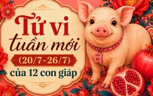 Tử vi tuần mới (20/7-26/7): 3 con giáp được Thần Tài phù trợ, công việc lên hương, làm gì cũng thuận lợi