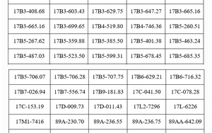 287 chủ phương tiện vi phạm mang biển số sau nhanh chóng nộp phạt nguội theo Nghị định 168 trong danh sách mới nhất của tháng 7