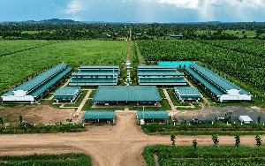Công ty nông nghiệp của tỷ phú Trần Bá Dương báo lãi gấp 6 lần, nợ vượt 2,59 tỷ USD