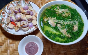 100 bác sĩ Nhật bình chọn ra 5 loại rau nhất định phải ăn vào mùa hè: Đứng đầu là loại rau quê chợ Việt nào cũng la liệt