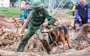 Thi thể một nạn nhân lũ quét ở Lai Châu được tìm thấy cách hiện trường gần 20 km