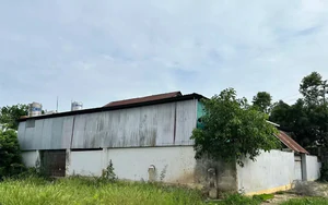 Nguyên hiệu trưởng dựng nhà trên đất trường, chiếm dụng gần 500m²