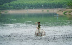 Bỏ phố về quê nuôi con cá rẻ như cho nhưng được xem như 'thuốc đại bổ', thanh niên 9X xây trang trại doanh thu tiền tỷ