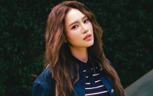 Ninh Dương Lan Ngọc thông báo nóng việc ngừng phát tán hình ảnh