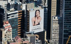 Xét xử vụ trộm hơn 700 túi Chanel: 9 năm sau, phiên tòa bất ngờ khiến bị hại thành tâm điểm tranh cãi
