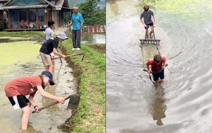 Cảnh khách Tây 'kéo bừa thay trâu' trên ruộng bậc thang ở Lào Cai gây sốt
