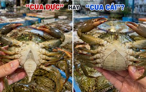 Đi chợ nên mua "cua đực" hay "cua cái"?