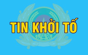 Khởi tố vụ án; khởi tố, tạm giam nguyên Chủ tịch, Giám đốc, phụ trách kế toán Công ty Việt Mỹ