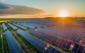 Tập đoàn 110 năm tuổi của Foxconn thâu tóm hoàn toàn DN điện mặt trời tại Việt Nam, lấn sân sang pin lưu trữ