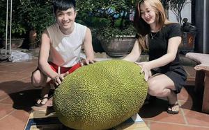 Xuất hiện quả mít 50kg ở Bắc Ninh, mỗi năm chỉ ra 1-2 quả, hương vị gây tò mò