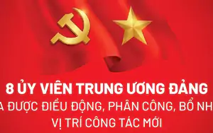 8 Ủy viên Trung ương Đảng vừa được điều động, phân công vị trí công tác mới