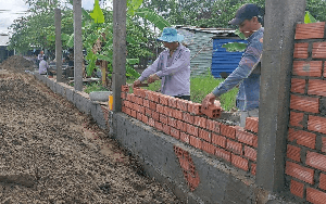 Từ ngày 31/8, những hành vi có thể khiến chủ đất bị phạt tới 10 triệu đồng