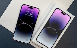 2 chiếc iPhone cũ đang giảm giá mạnh nhất lúc này