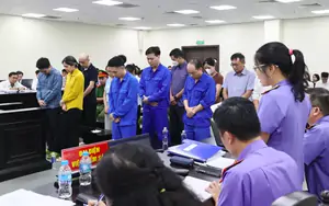 Phán quyết nào cho nhóm cựu cán bộ nhận hối lộ của trùm thực phẩm giả?