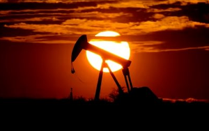 OPEC báo tin vui đến cả thế giới