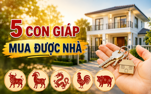 Top 5 con giáp có cơ hội mua được nhà từ tháng 7 đến tháng 9: Hạng 1 được dự báo dễ chốt mục tiêu an cư nhất