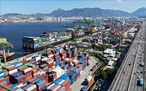 IMF hạ dự báo tăng trưởng toàn cầu