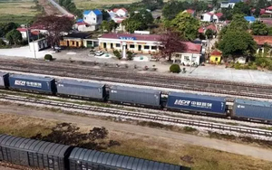 Ngành đường sắt hướng tới mục tiêu 1.500 container vận tải liên vận Trung Quốc
