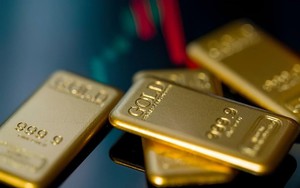 Lừa cụ ông số vàng trị giá hơn 5 tỷ đồng, 2 người đàn ông bị bắt