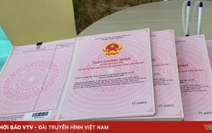 Đất nhận chuyển nhượng lâu năm, mất giấy tờ gốc: Làm sao để cấp sổ?