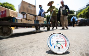 Hôm nay, miền Bắc nắng nóng nhất 39°C, dự báo thời tiết Hà Nội 10 ngày tới