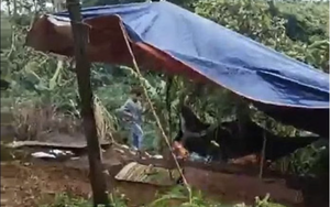 Vụ nữ nhân viên thư viện trường nghi bị đồng nghiệp sát hại, chôn trong rẫy: Hiệu trưởng nói gì về nghi phạm?