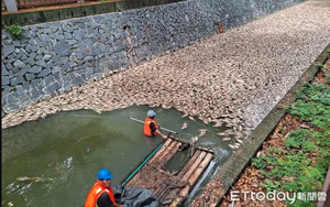 Vừa dọn sạch 5 tấn cá chết, con sông lại liên tiếp xuất hiện cảnh tượng khiến người dân hoảng hốt