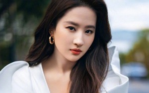 Người cướp chén cơm của Lưu Diệc Phi, Triệu Lệ Dĩnh