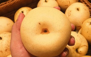 Mùa thu lê ngon rẻ, nhưng có 2 loại quả bị đồn tuyệt đối không nên ăn cùng: Sự thật khiến nhiều người bất ngờ