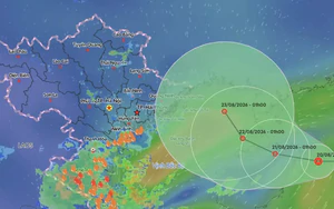 Áp thấp nhiệt đới trên Biển Đông rất khó lường