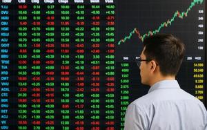 Chuyên gia Vinacapital: Lịch sử cho thấy chứng khoán có thể hồi phục 80–100% sau mỗi cú rơi mạnh