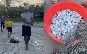Xem khách Tây kéo lưới, dân mạng đùa 'đến Việt Nam là thạo nông lâm ngư nghiệp'