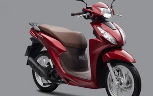 Bảng giá xe máy Honda Vision tháng 8/2026 mới nhất