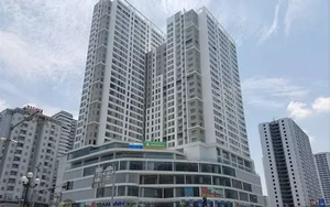 Bất động sản thế chấp lớn không đồng nghĩa rủi ro tín dụng tăng