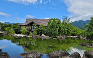 Nhà cổ trên đồi của ông Đặng Lê Nguyên Vũ