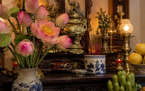 5 loài hoa dâng cúng bàn thờ Rằm tháng 7