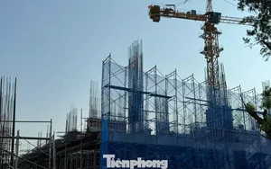 Giá căn hộ ở TPHCM giảm mạnh sau sáp nhập