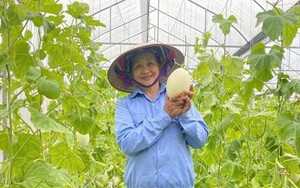 Nông sản Thủ đô chinh phục thị trường từ minh bạch nguồn gốc