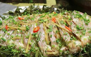 Tin vui cho những người thích dùng lá đinh lăng!