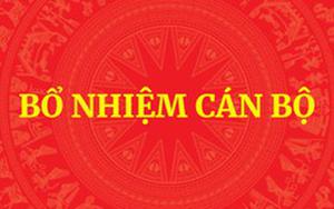 QUY ĐỊNH MỚI: Tiêu chuẩn, điều kiện bổ nhiệm công chức giữ chức vụ lãnh đạo, quản lý