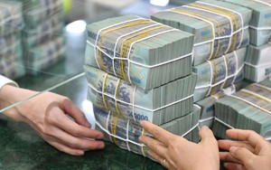 Một vị trí việc làm ở Việt Nam có thể được trả lương tới 850 triệu đồng/tháng