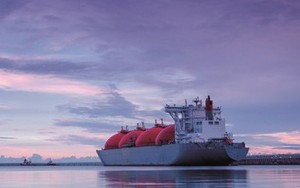 Qatar lại báo tin không vui đến cả thế giới