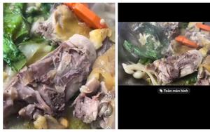 Chủ cơ sở liên quan vụ nghi thức ăn có dòi bị phạt 27 triệu đồng
