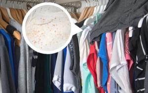 Thợ mộc lành nghề bật mí cách cứu tủ gỗ khỏi mùi hôi, mốc góc và phồng cánh mùa mưa: Không phải cứ lau là xong