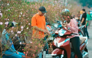 Bộ Nội vụ đề xuất nghỉ 7 ngày liên tục dịp Tết Nguyên đán 2027